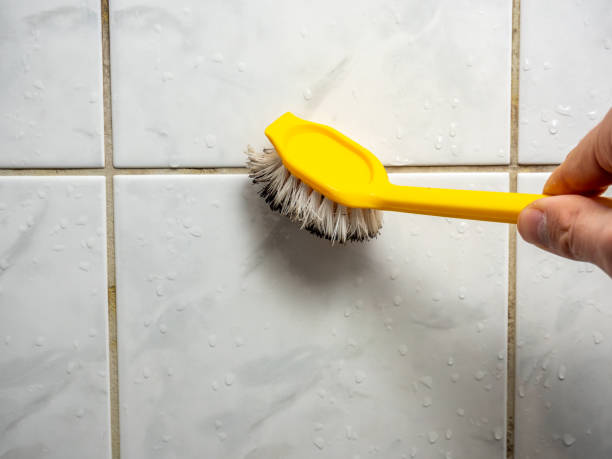 Best Mold Remediation  in Agua Dulce, CA